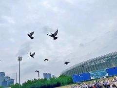 -伊顿幼儿园(济南大地锐城校区)