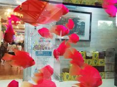 -雅和生态渔庄·宜城锅巴饭(龙灵山公园店)