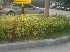 -南京国际会议大酒店