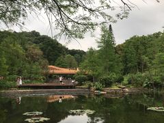 -云溪植物园