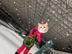 -绍兴启迪乔波冰雪世界