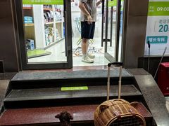 -瑞鹏宠物医院·微创内窥镜·骨外科·牙科(翠竹分院)