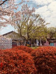 -玄武湖景区-情侣园游乐场
