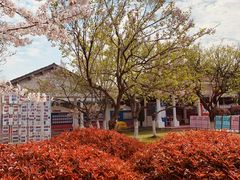 -玄武湖景区-情侣园游乐场