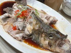 -7号院家宴.烧鸽子(门头沟店)