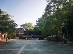 -水濂山森林公园