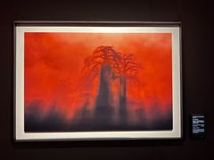 -罗红摄影艺术馆