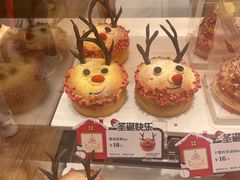-多乐之日(公益西桥店)