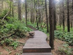 -白草畔自然风景区