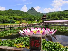 -帽儿山风景区