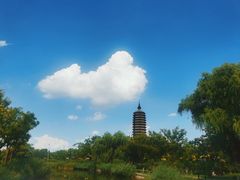 -西海子公园