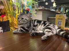 -咖法森林·咖啡  酒吧(天河店)