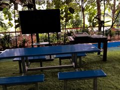 -天下先生态园农庄CS团建露营地(海鸥岛店)