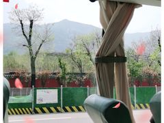 -秦始皇帝陵博物院(兵马俑)