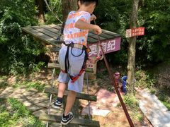 -梦幻奥陶纪景区