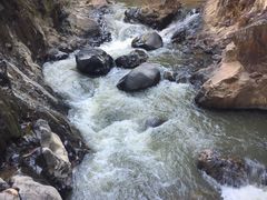 油菌鸡枞-龙姐私房菜(和顺古镇店)