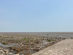 -南汇新城海滩