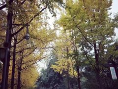 -四川大学(华西校区)