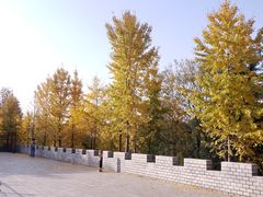 -西安汉城湖景区