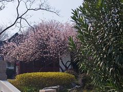 -堤角公园