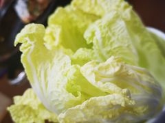 -楼外楼大刀肉传统火锅居(博学路店)