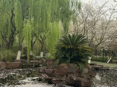 -范蠡湖公园
