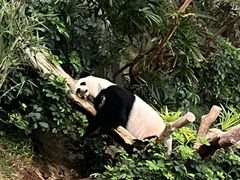 -香港海洋公园