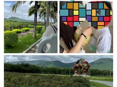 -亚龙湾国际玫瑰谷