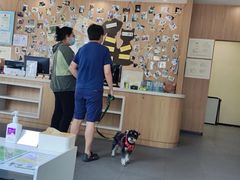 -爱妮康宠物医院·干细胞免疫细胞·肿瘤·心脏(张江店)