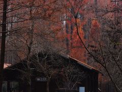 -黄海国家森林公园