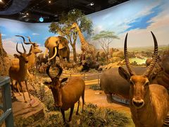 -陕西自然博物馆