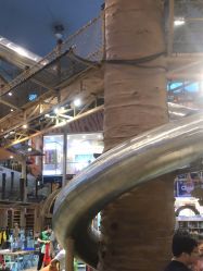 -卡通尼·Safari非洲探索乐园·生日会(金桥国际商业广场店)