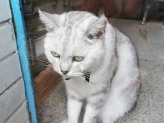-三溪村