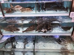 -盒马鲜生(红莲店)