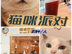 -猫咪派对(江南西店)