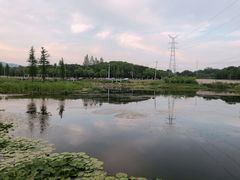-佛手湖郊野公园