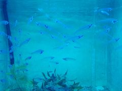 -常州海昌海洋探索馆