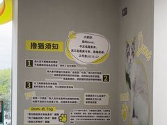 -上海浦东smart汽车全功能店(金桥店)