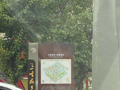 -桉树林A coffee 森林餐厅(三圣乡店)