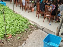 -姥家大锅台水库渔家