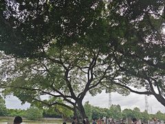 -黄埔古港