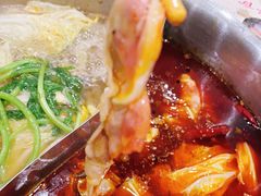 高钙羊肉-何鲜菇火锅(大营盘店)