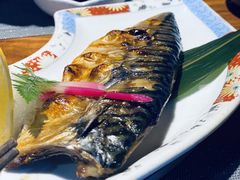 -森味薪火烧•烧鸟居酒屋•日本料理(望京店)