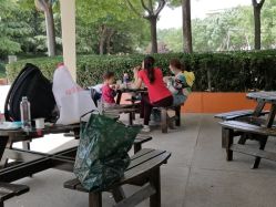 -酷酷兔少儿拓展天地