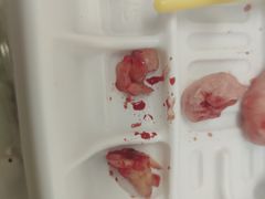 -上海市杨浦区牙病防治所