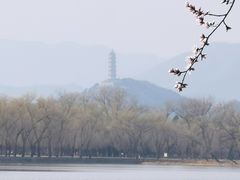 -颐和园