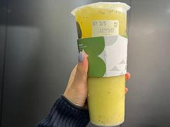 -雾与山茶(大禹城店)