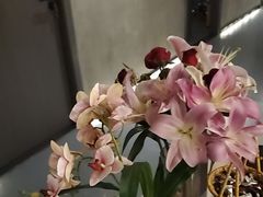 -施奈儿.洗头頭療.按摩SPA.采耳(上梅林店)