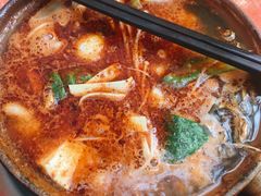 -清真·马文砂锅大全