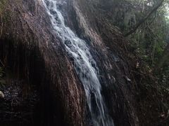 -夏霖九天银瀑风景区
